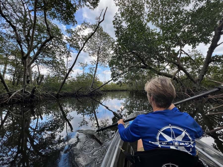 Miami: Clear Kayak Eco Tour with Guide and Wildlife - Navigating Through Mangrove Tunnels: A Close-Up View