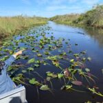 Miami: Everglades Airboat, Gator Experience with Transfer - Starting Point and Transportation Logistics
