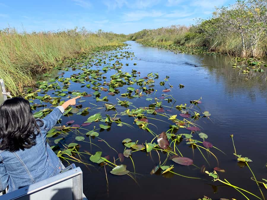 Miami: Everglades Airboat & Wildlife Experience - Starting Point and Transportation in Miami