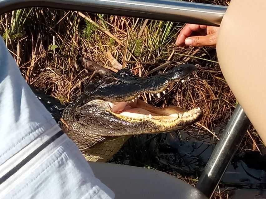 Miami: Everglades Full-Day Tour with 2 Boat Trips and Lunch - Exploring the "River of Grass" on the 75-Minute Airboat Ride