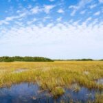 Miami: Everglades Private Tour - Starting Point in Miami and Pickup Details