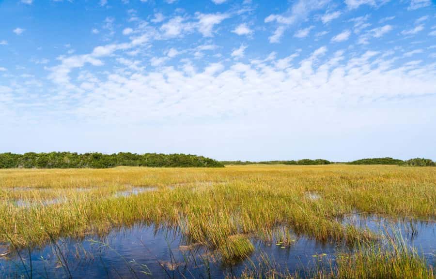 Miami: Everglades Private Tour - Starting Point in Miami and Pickup Details