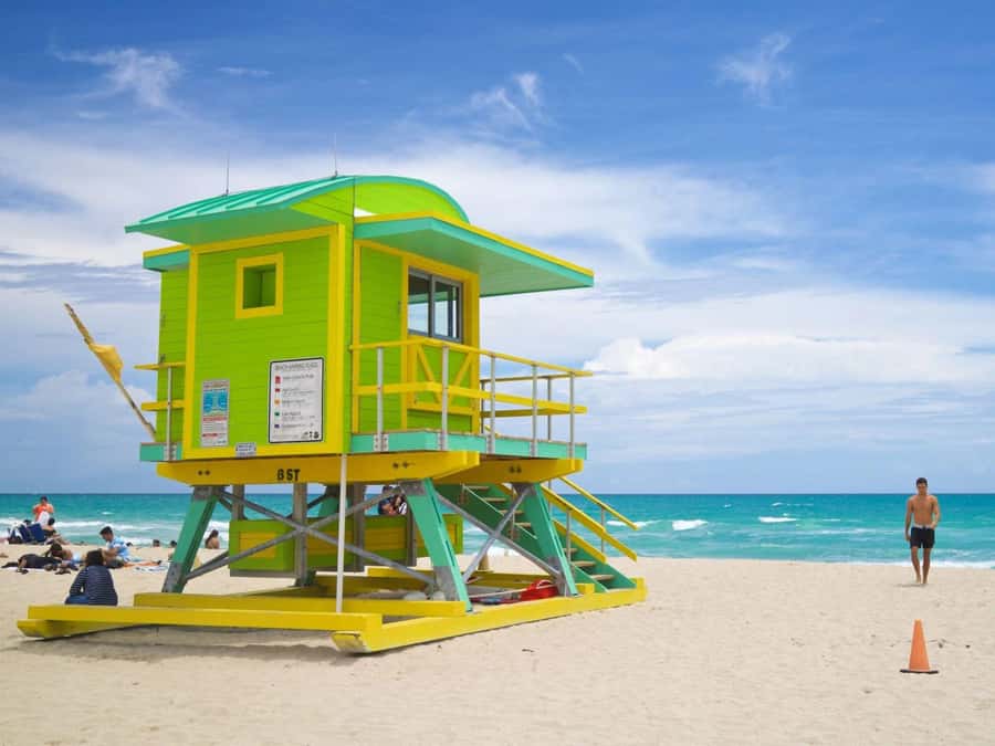 Miami: Explore Magic City in Style  2-Hour VIP Tour - Luxury Transportation in an Elegant Black SUV