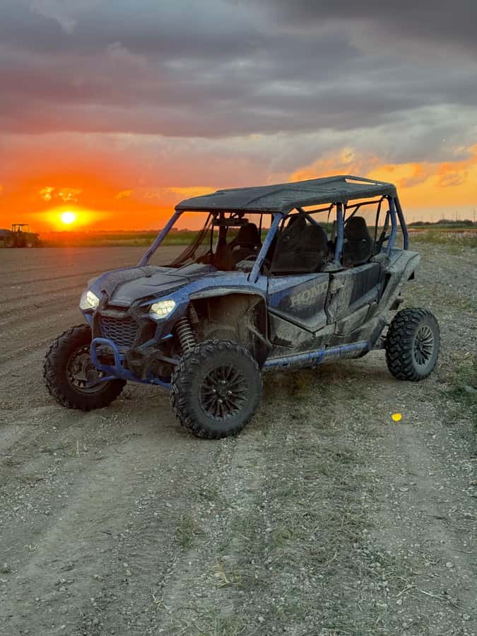 Miami: Guided Off-Road Buggy Tour with Photos & Videos - What to Expect During the Off-Road Adventure