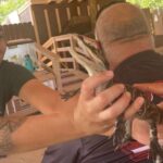 Miami: Half-Day Everglades Tour - Exploring Downtown Miami and the Magic City’s Energy