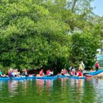 Miami: Manatee Season Paddleboard or Kayak Tour - Wildlife and Scenery Along Lamar Lake and Biscayne Bay