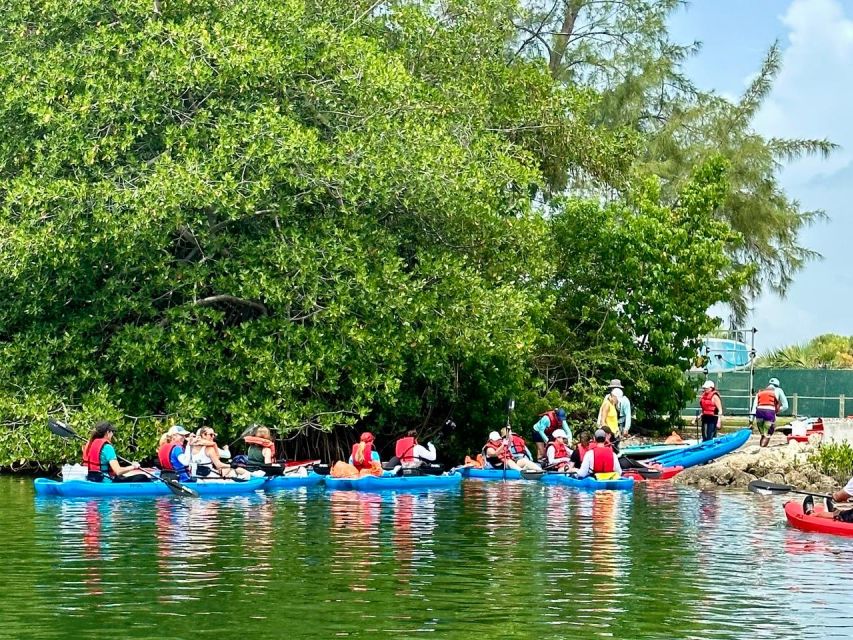 Miami: Manatee Season Paddleboard or Kayak Tour - Wildlife and Scenery Along Lamar Lake and Biscayne Bay