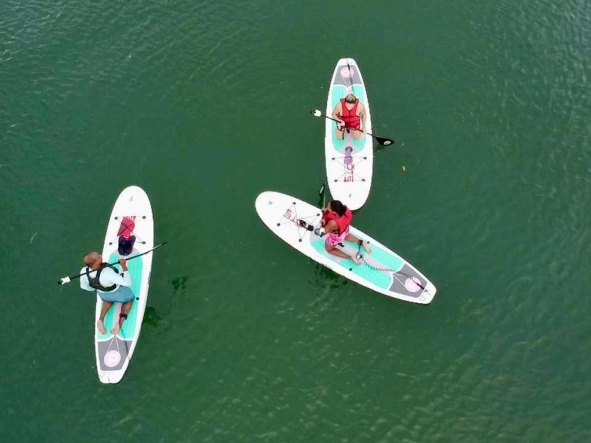 Miami: Paddle Board or Kayak Rental in Virginia Key - Quality Equipment and Safety Gear