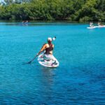 Miami: Paddle Board or Kayak Rental - PADL Beach Club - Paddling Through Biscayne Bay’s Natural and Urban Scenes