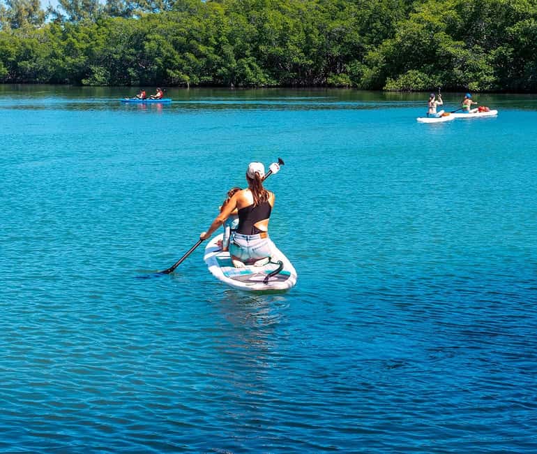 Miami: Paddle Board or Kayak Rental - PADL Beach Club - Paddling Through Biscayne Bay’s Natural and Urban Scenes