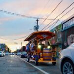 Miami Pedal Pub: Arts District Party Bike Pub Crawl - What Makes the Wynwood Murals and Street Art Special