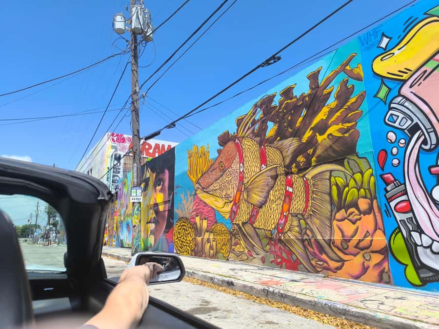 Miami: Private Tour in a Convertible Mustang (French) - The Exciting Mustang Convertible Experience