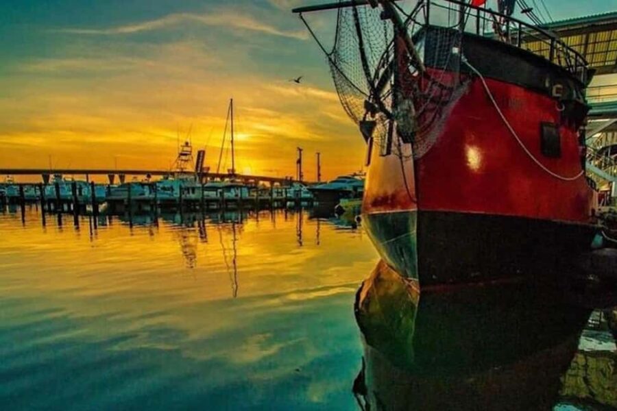 Miami: Skyline & Millionaire's Homes Pirate Boat Cruise - The Route: Biscayne Bay and Miami’s Most Famous Islands