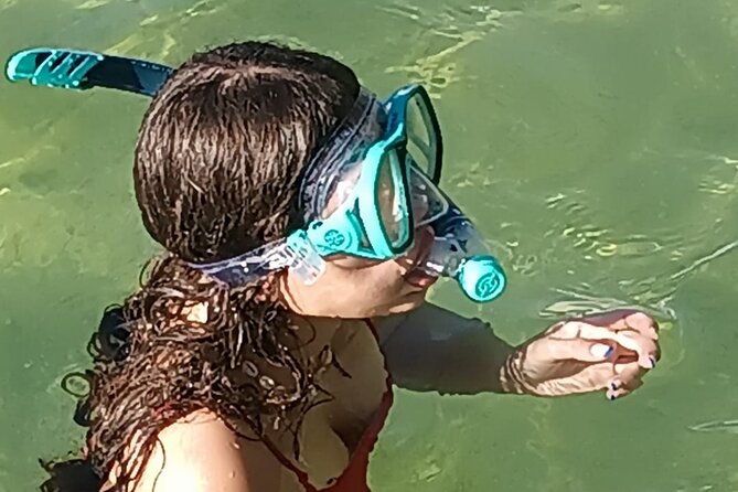 Miami: Snorkel adventure & Sandbar Trip - Exploring the Secluded Island and Soft White Sand Beaches