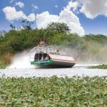 Miami: Wild Everglades Airboat Ride and Gator Encounters - Convenient Pickups and Transportation in Miami