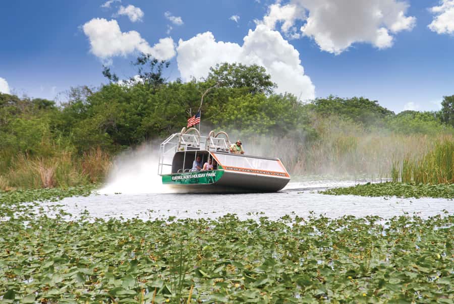 Miami: Wild Everglades Airboat Ride and Gator Encounters - Convenient Pickups and Transportation in Miami