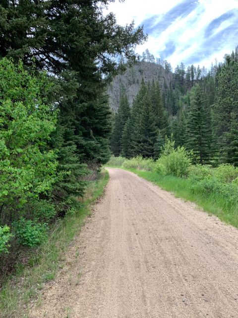 Mickelson Trail: 20-Mile Private Bicycle Tour - Experience Scenic Black Hills Views and Natural Beauty