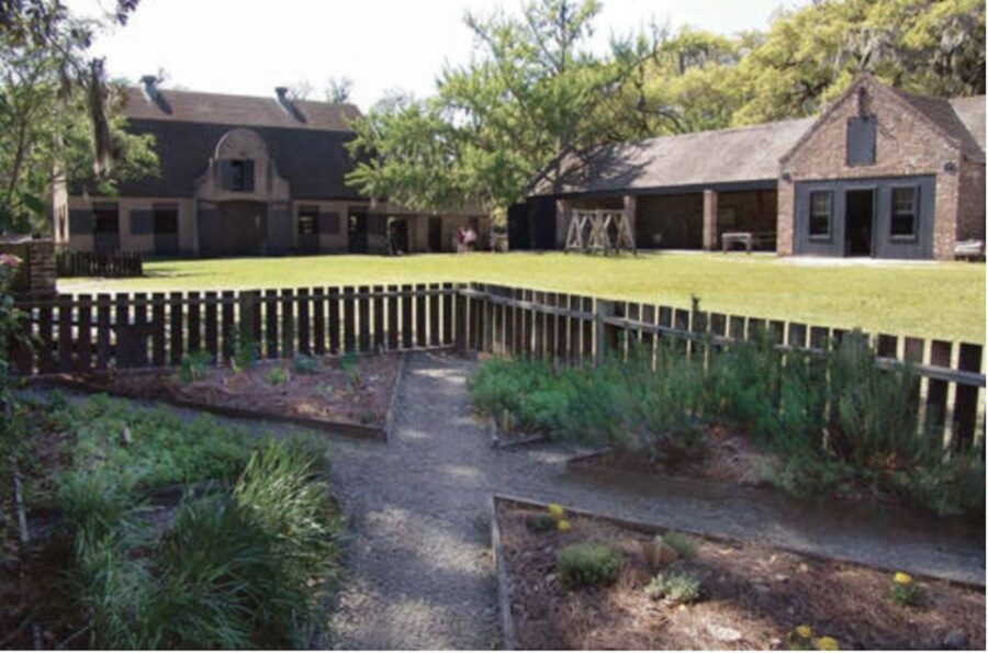 Middleton Place Plantation Tour - Pickup and Location in Charlestons Peninsula