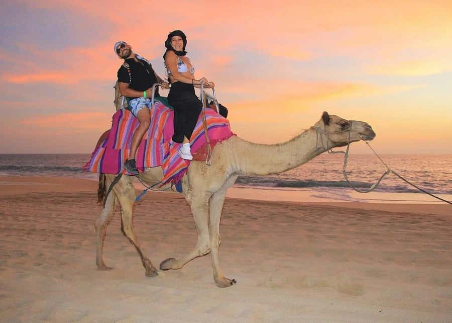 Migrino Beach Camel Ride with Lunch, Photos, & Drinks - Starting Point and Transportation Logistics
