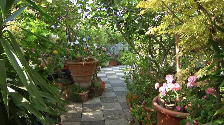 Milan: Pasta, Ravioli, and Gelato Class in a Glamorous Home - The Family-Run Kitchen: Legacy and Passion for Food