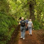 Mini Combo East Challenge - Levada and Jeep Safari - Starting Point and Pickup Details in Funchal