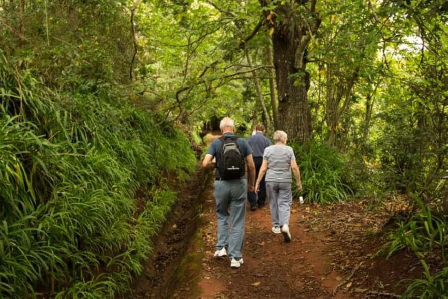 Mini Combo East Challenge - Levada and Jeep Safari - Starting Point and Pickup Details in Funchal