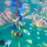 Mismaloya: Snorkeling, Cliff Jumping, and Beach Tour - Meeting Point and Logistics in Mismaloya