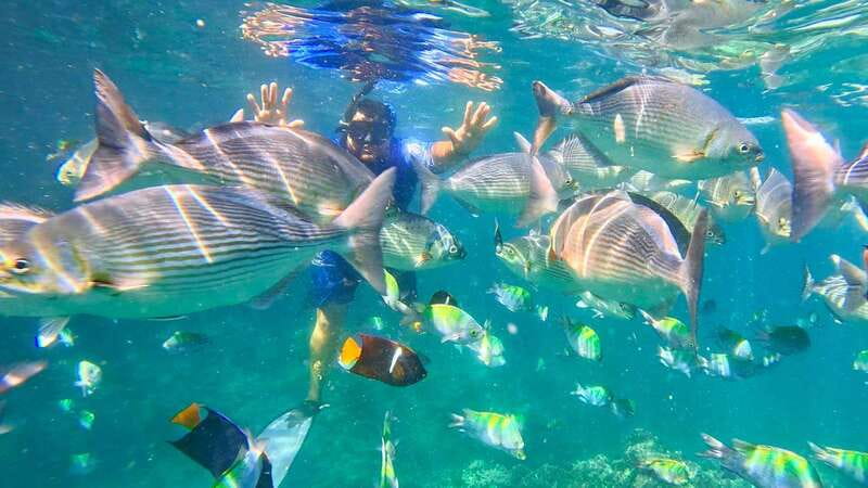 Mismaloya: Snorkeling, Cliff Jumping, and Beach Tour - Meeting Point and Logistics in Mismaloya