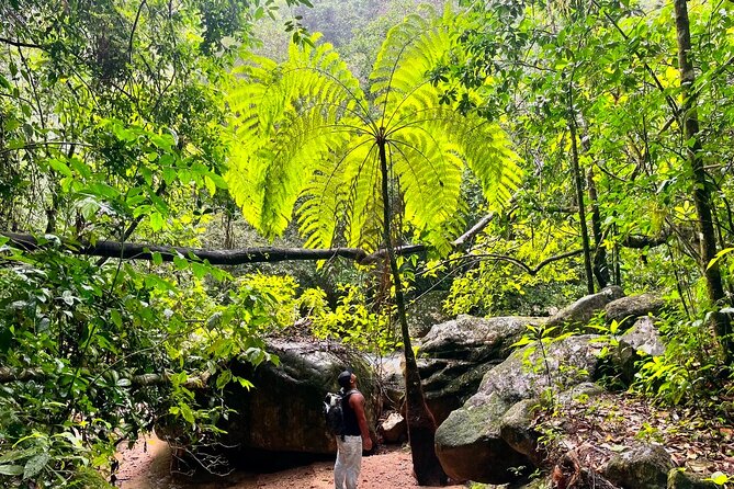 Mismaloya Waterfalls Jungle Hike Full Day Adventure - From Puerto Vallarta to Las Juntas y los Veranos