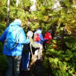 Mistérios Negros Hiking Trail - Terceira Azores - Mountain Valleys and Lush Countryside