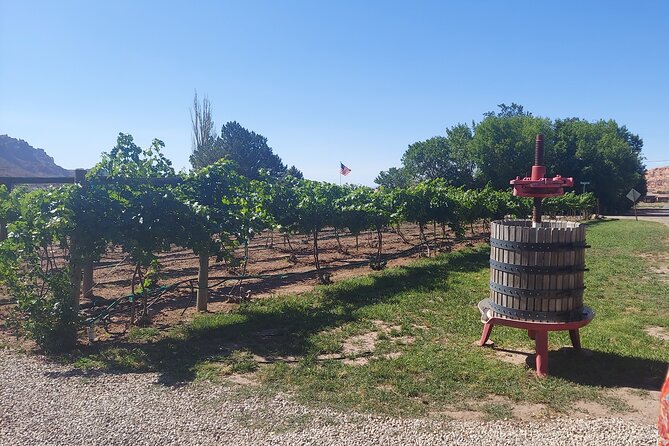 Moab Back Roads, History and Winery E-Bike Tour - The Route Options for Every Rider Level in Moab