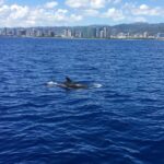 Moanas VIP Waikiki Turtle Snorkeling Experience on Nalu - Exclusive Luxury on the Nalu Catamaran