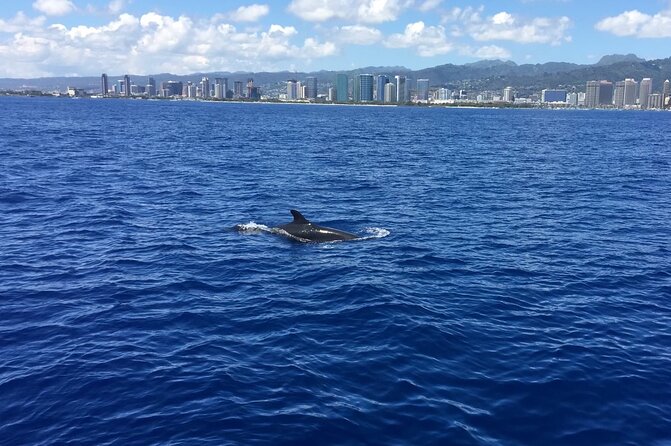 Moanas VIP Waikiki Turtle Snorkeling Experience on Nalu - Exclusive Luxury on the Nalu Catamaran