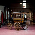 Modena area: Lambrusco Wine Tasting Experience - The Modena Area: The Heart of Lambrusco