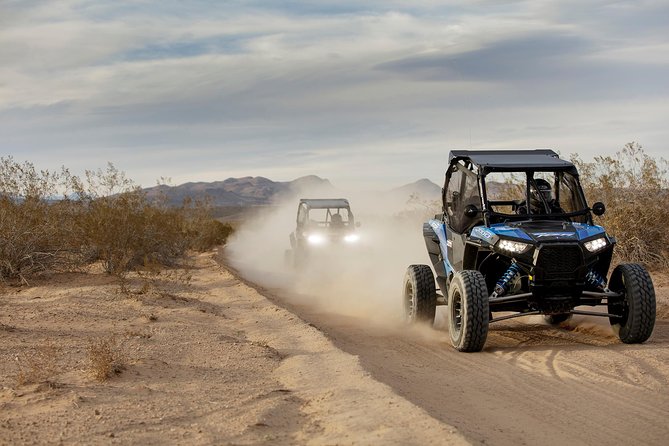 Mojave Desert Off Road RZR Tour in Las Vegas - The Scenic Stops: Desert Trails and Sandy Valley