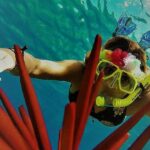 Molokini Crater Zodiac Adventure: Snorkel and Turtle Cove Swim - Exploring Molokini Craters Vibrant Reef