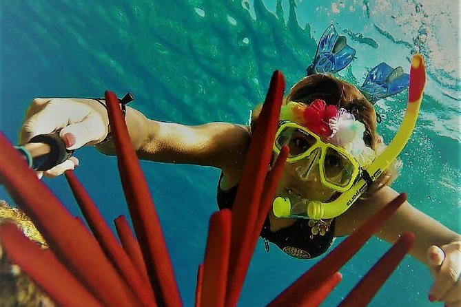 Molokini Crater Zodiac Adventure: Snorkel and Turtle Cove Swim - Exploring Molokini Craters Vibrant Reef