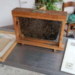 Monferrato: Honey and Mead Tasting Experience - Location and Duration in Monferrato, Piedmont