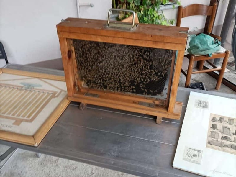 Monferrato: Honey and Mead Tasting Experience - Location and Duration in Monferrato, Piedmont