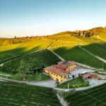 Monforte d'Alba: Wine and Chocolate Tasting Experience - Visiting the Historic Winery and Museum