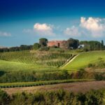 Montalcino: Brunello Wine Tasting Experience - Walking Through the Vineyard and Castle History