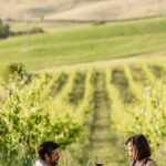 Montalcino: exclusive picnic in the vineyard with wine basket - The Content of Your Vineyard Picnic Basket