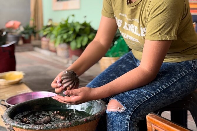 Monte Alban, Mezcal factory, chocolate and artisan houses - Visiting Monte Alban: The Archaeological Heart of Oaxaca