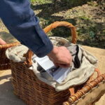 Montecatini Alto: Gourmet picnic among olive trees with EVO oil pairing - Meeting at Podere Cavozzoli and Transportation Options