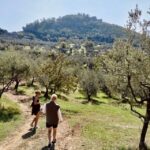 Montecatini Terme: Olive Grove Tour with Oil Tasting - Visiting Podere Cavozzoli: The Meeting and Access Details