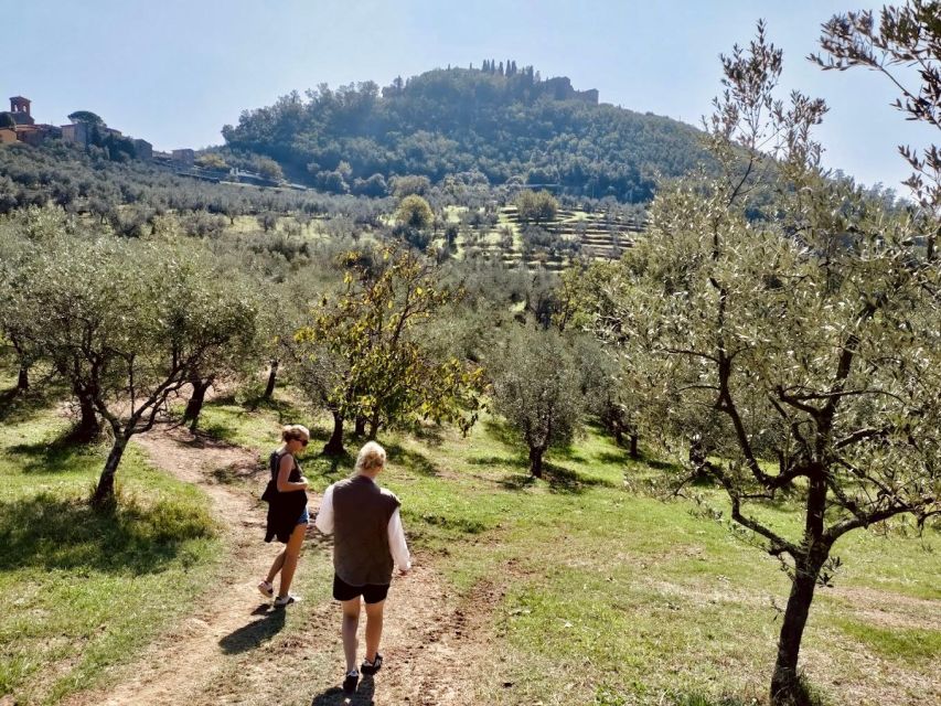 Montecatini Terme: Olive Grove Tour with Oil Tasting - Visiting Podere Cavozzoli: The Meeting and Access Details