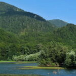 Montenegro Tour by train  Private tour - Scenic Train Ride from Podgorica to Kolasin