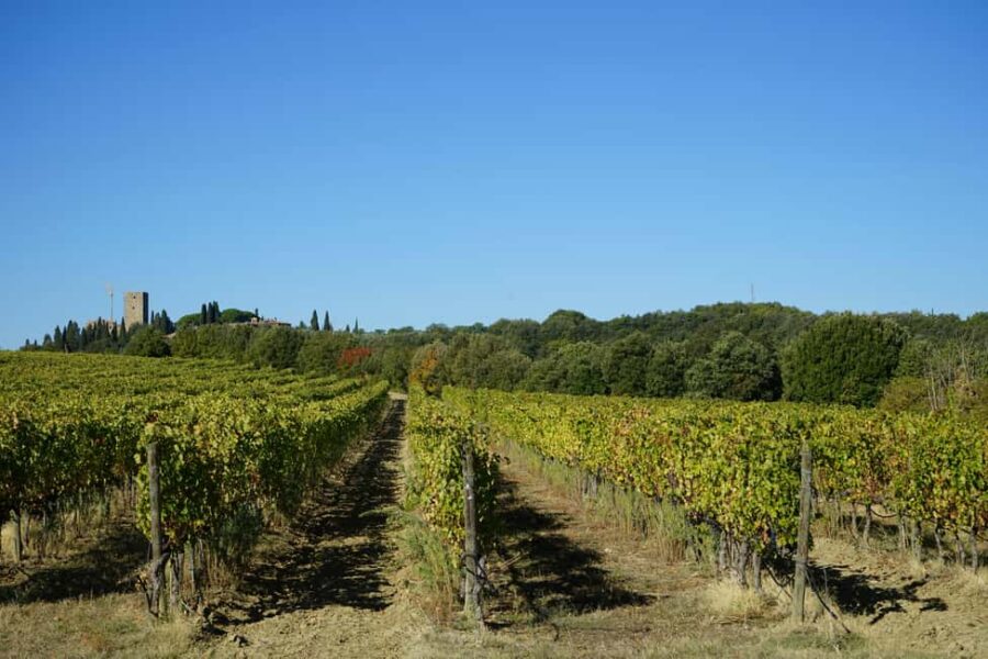 Montepulciano, Montalcino, Cortona - Small Group Day Trip - The Starting Point and Transportation Logistics in Florence