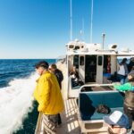 Monterey Bay: Whale Watching Tour - Starting Point at Old Fisherman’s Wharf with Spectacle of Sea Lions