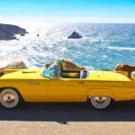 Monterey & Big Sur: 1955 Ford Thunderbird Convertible Rental - The Iconic 1955 Ford Thunderbird in Vibrant Two-Tone Colors